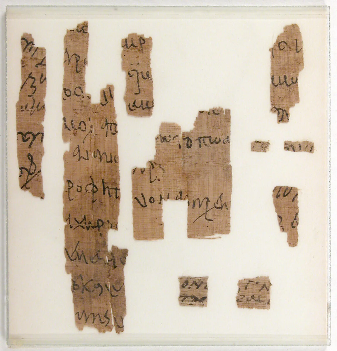 Papyrus Fragments of a Legal Document — Unknown