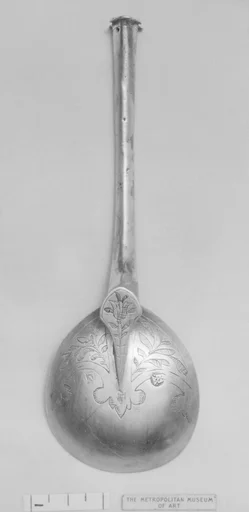 Medicine spoon (?)