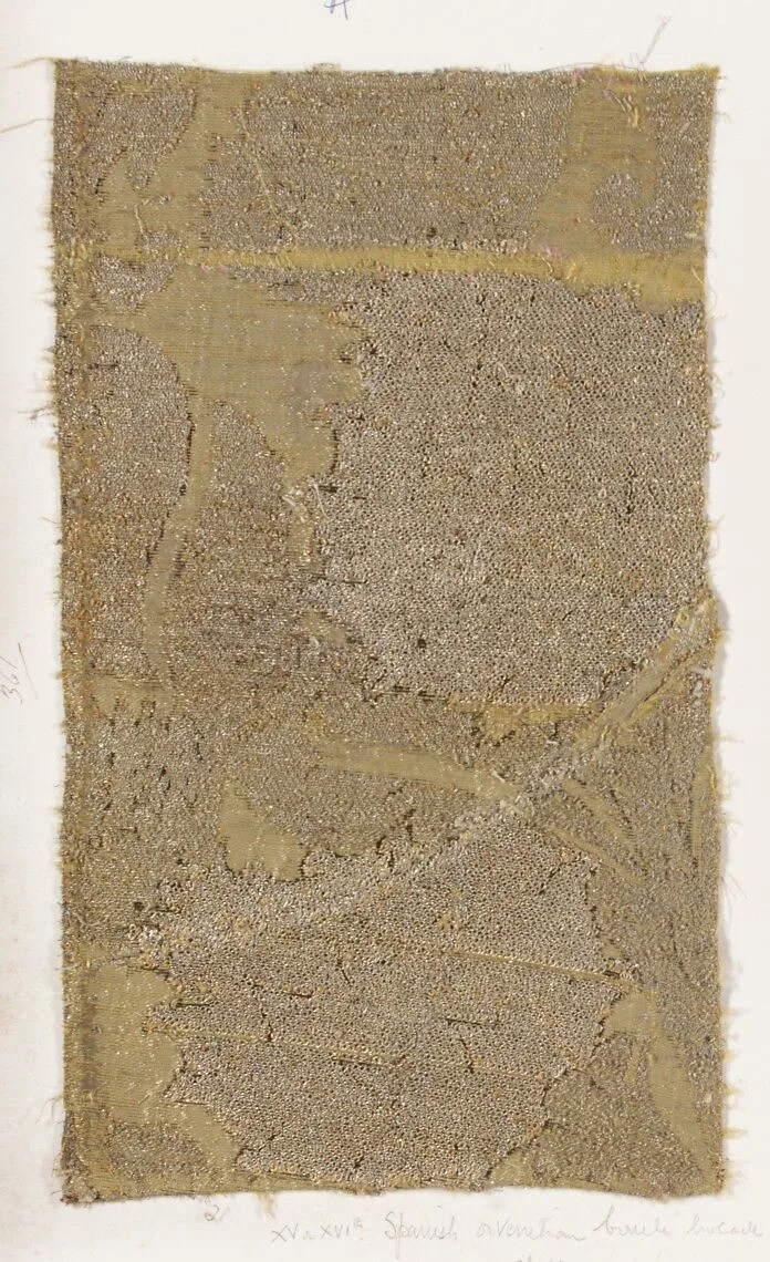 Fragment — Unknown
