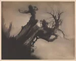 The Storm Tree — Anne W. Brigman