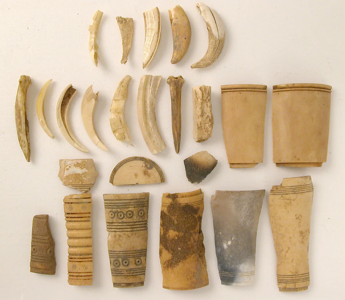 Bone Fragments — Unknown