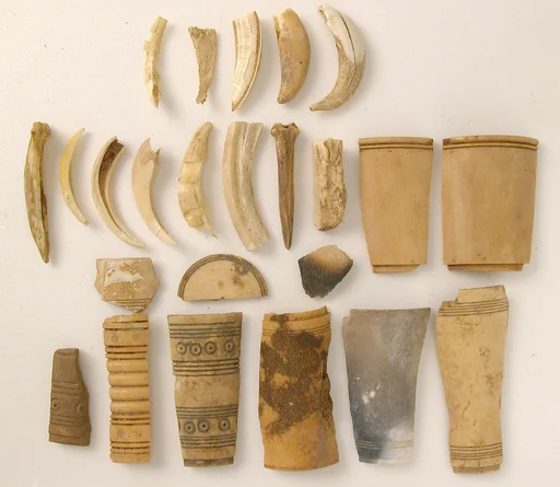 Bone Fragments