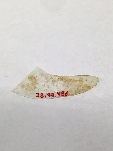 Fragment