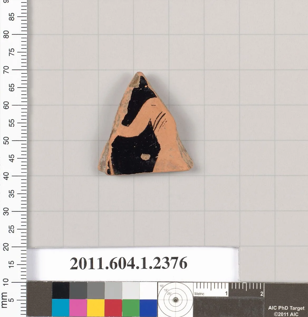 Terracotta fragment of a kylix (drinking cup) — Unknown