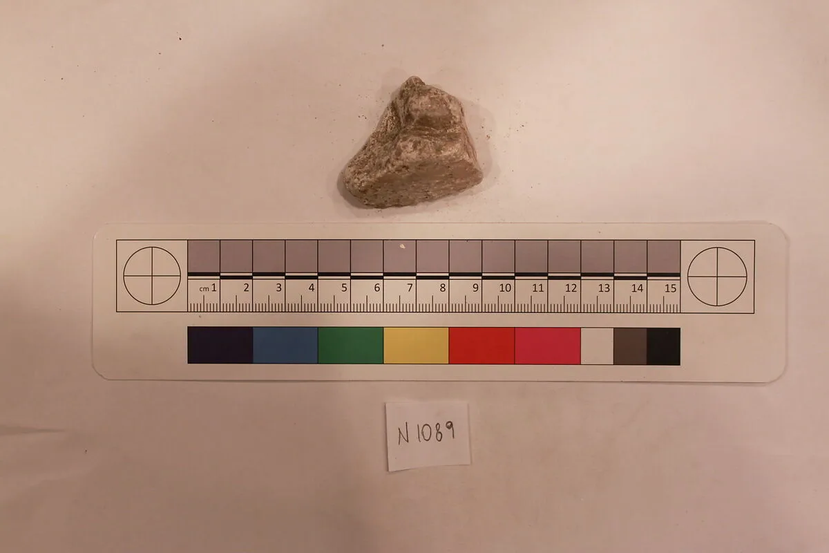 Stucco Fragment — Unknown