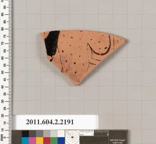 Terracotta fragment of a pot; unglazed on the inside