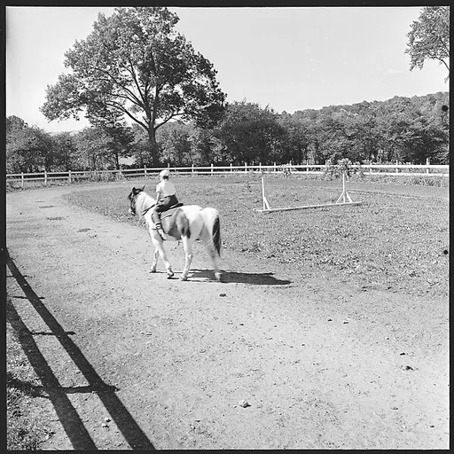 [8 Views of Mabry Child's Riding Lesson, Stockbridge, Massachusetts]