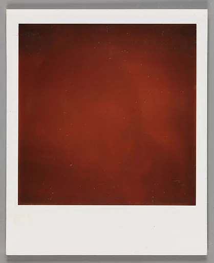 [Unidentifiable Blurred and Abstract Forms: Rust-Colored Field]