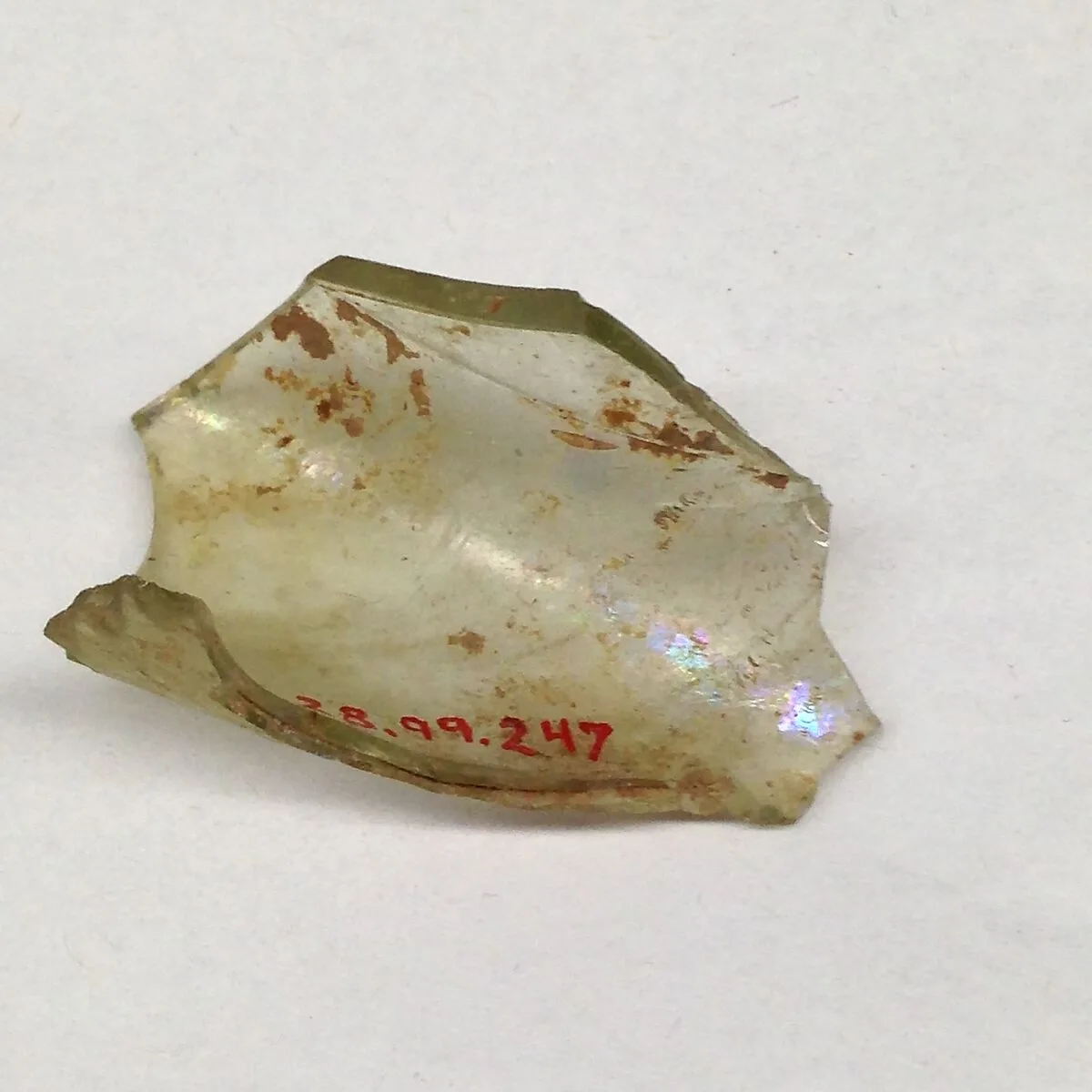 Fragment — Unknown