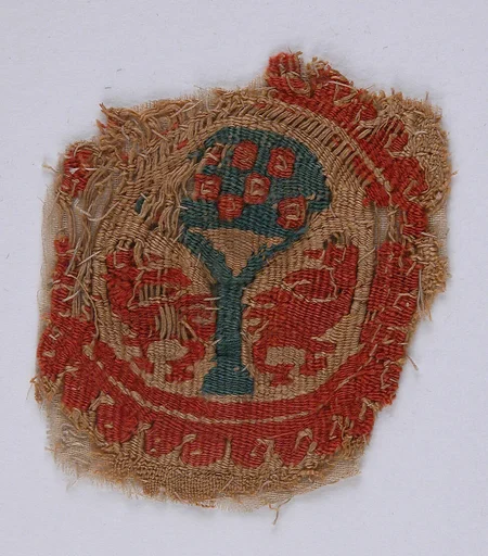 Textile Fragment