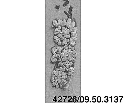 Fragment