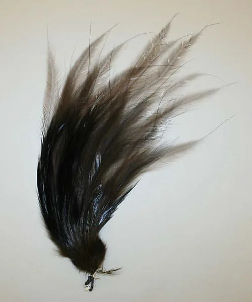 Aigrette — Unknown