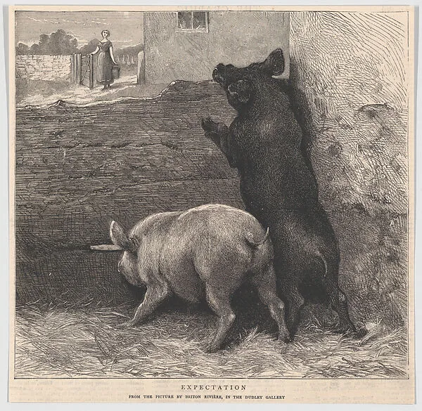 Expectation, from "The Graphic" — Briton Riviere