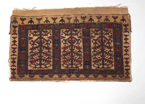 Storage Bag Fragment