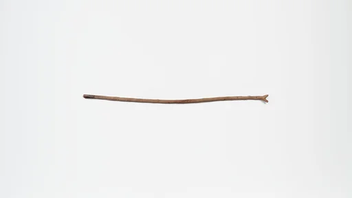 Staff, forked