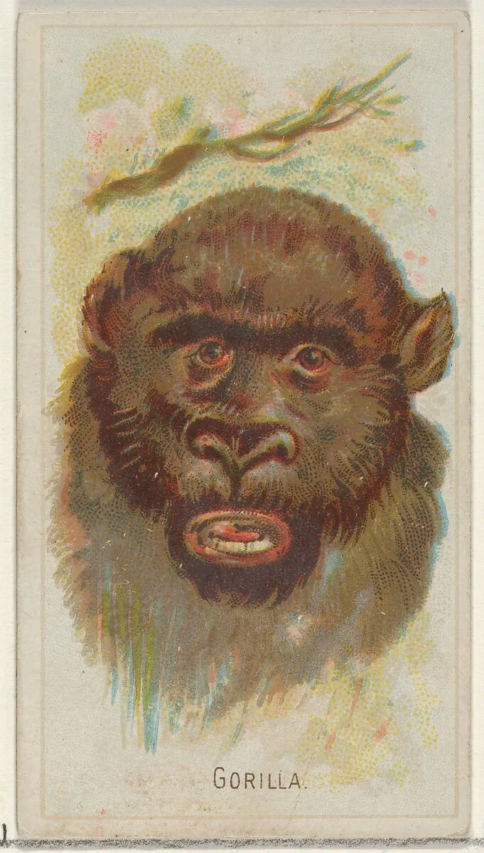 Gorilla, from the Wild Animals of the World series (N25) for Allen & Ginter Cigarettes — Allen & Ginter|George S. Harris & Sons