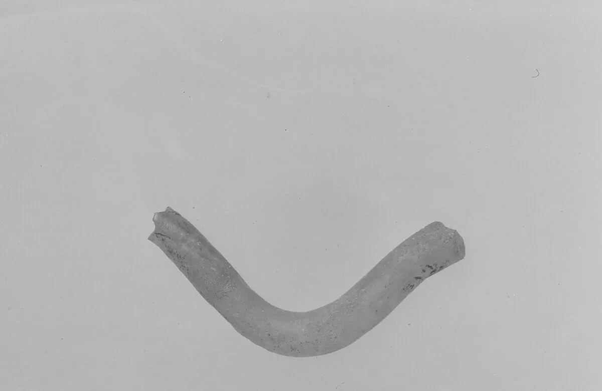 Fragment — Unknown