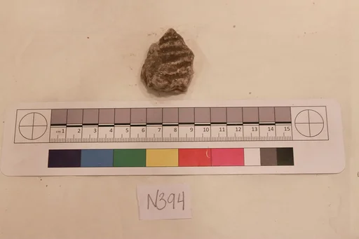 Stucco Fragment