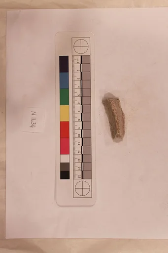 Stucco Fragment