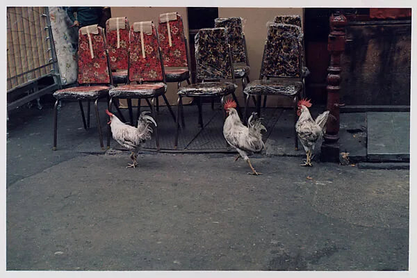 New York — Helen Levitt