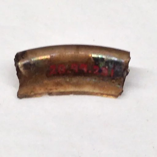 Fragment