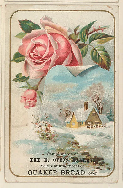 Scenic yellow house scene with roses, bakery card from the Picture Cards series (D63), issued by The R. Ovens Bakery — The R. Ovens Bakery