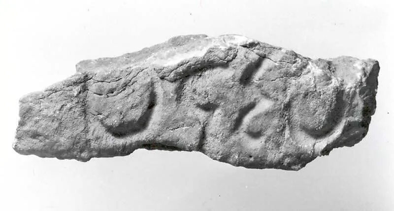 Fragment of a Pahlavi inscription using Middle Persian script — Unknown