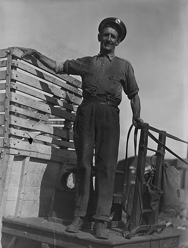 [Worker Standing in Flatbed Wagon, Old Wallabout Market, Brooklyn, New York]