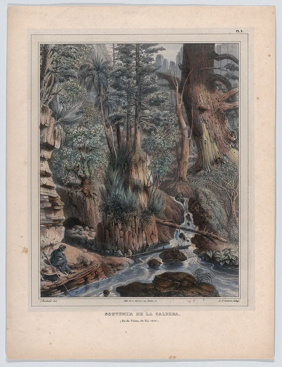 A Memory of Caldera — Sabin Berthelot|C. Adrien|Félix Achille Saint-Aulaire