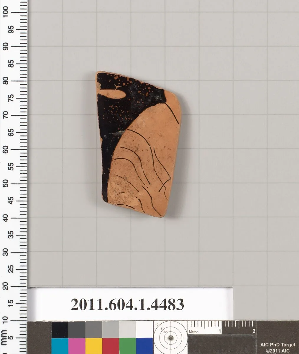 Terracotta fragment of a kylix (drinking cup) — Unknown