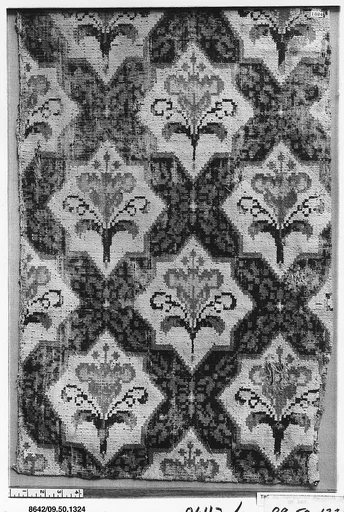 Carpet fragment