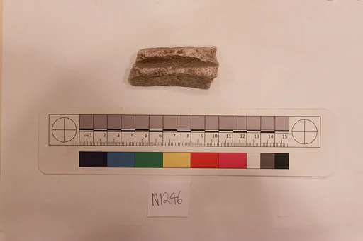 Stucco Fragment