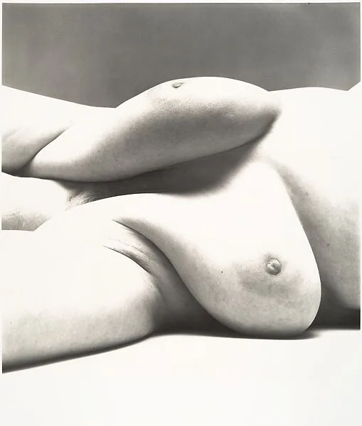 Nude No. 105 — Irving Penn