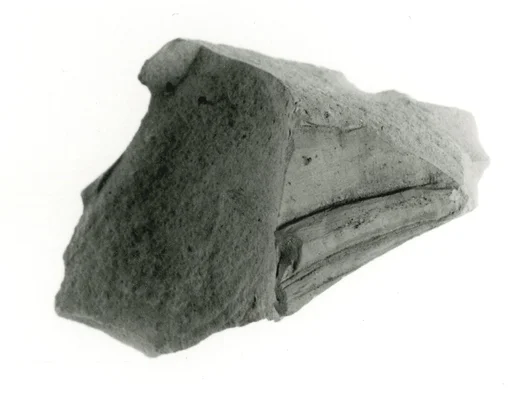Raised relief fragment