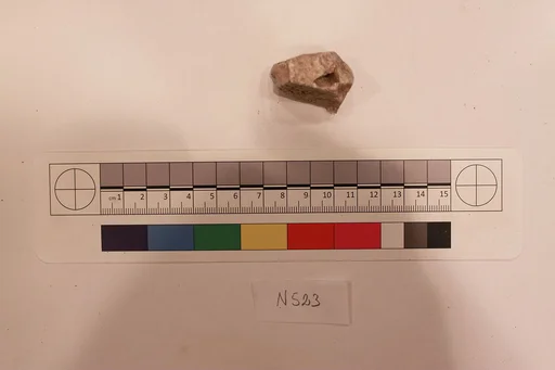 Stucco Fragment
