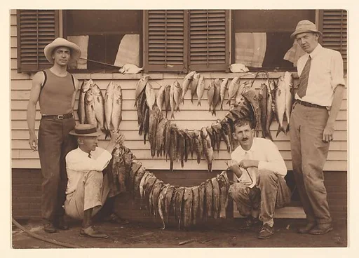 [Fishing Party (Guide? and Three Men) with Bountiful Catch]