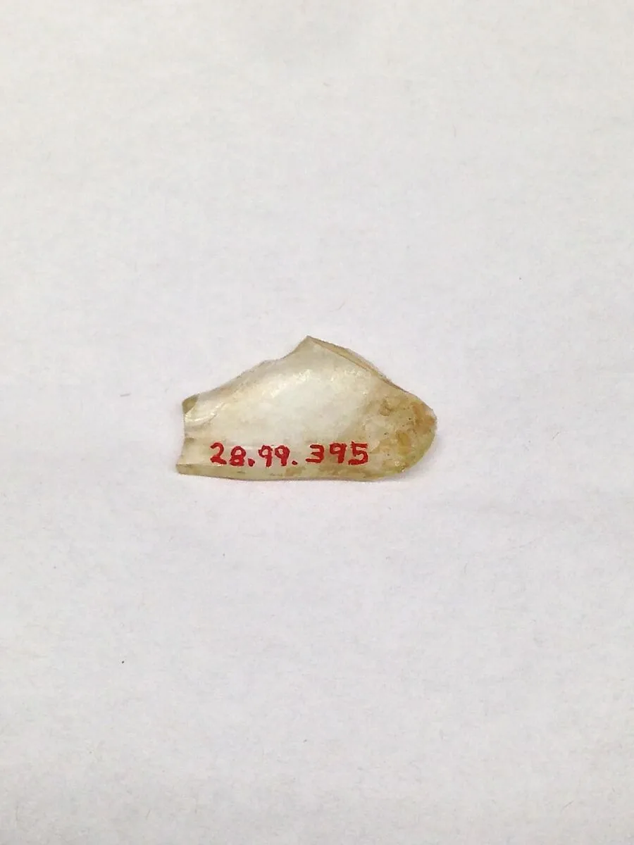 Fragment — Unknown