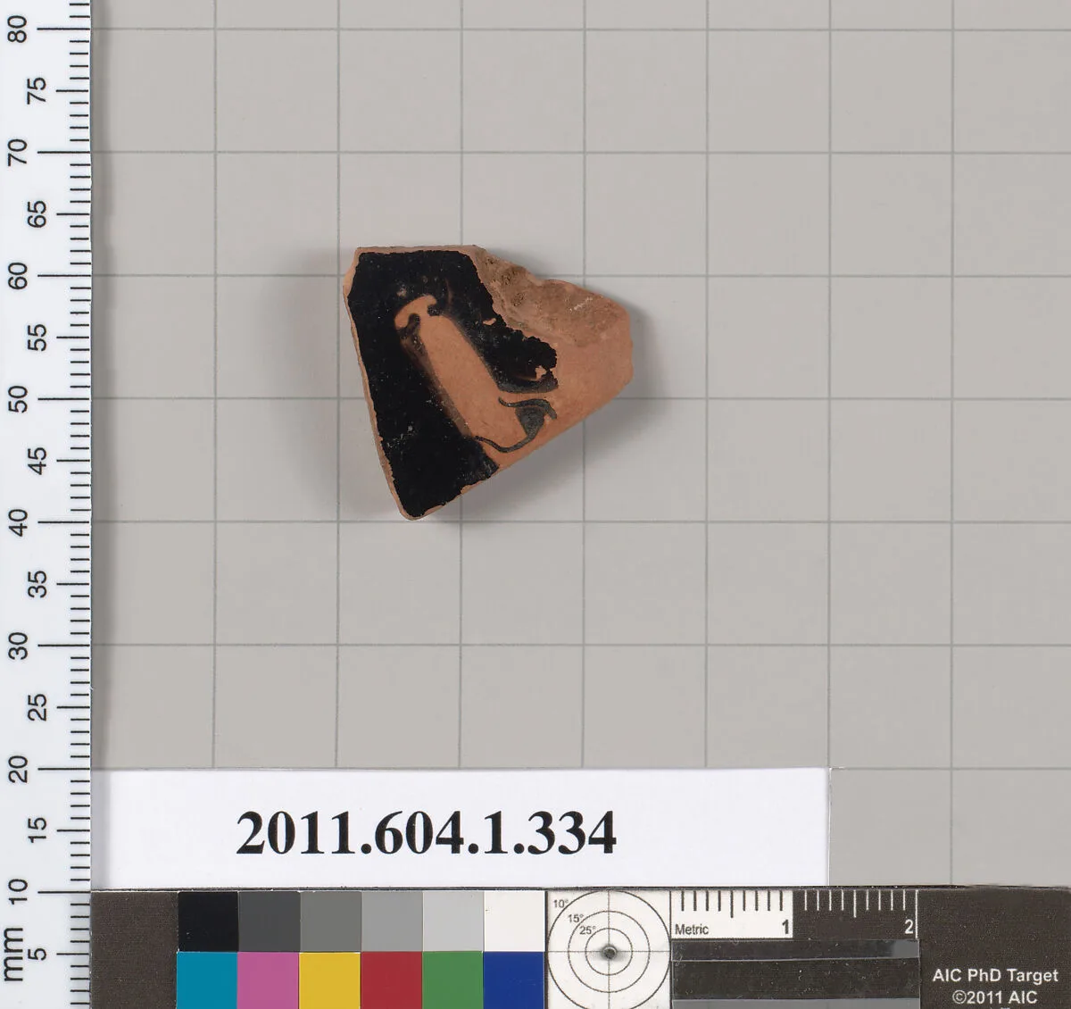 Terracotta fragment of a kylix (drinking cup) — Unknown