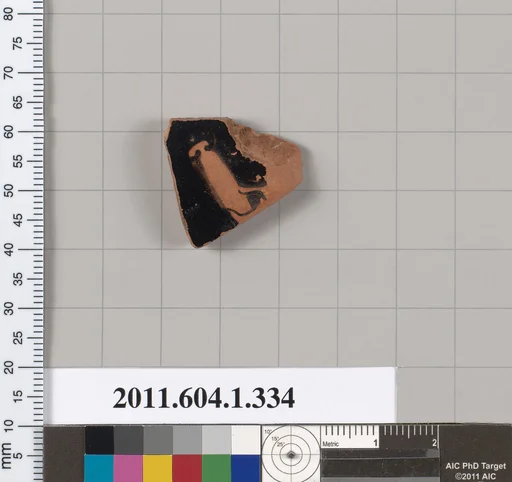 Terracotta fragment of a kylix (drinking cup)