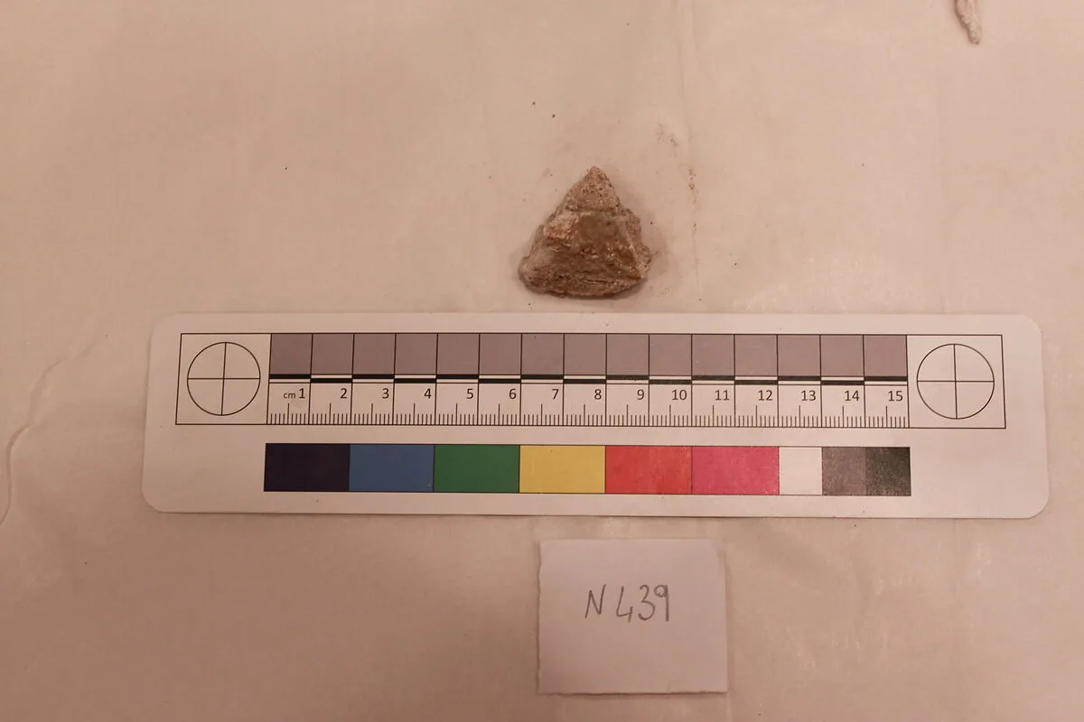 Stucco Fragment — Unknown