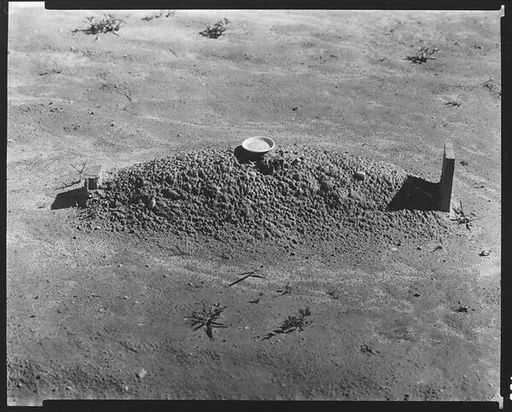 [Child's Grave with Plate on Plot, Hale County, Alabama]