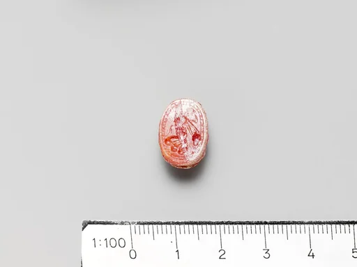 Carnelian scarab