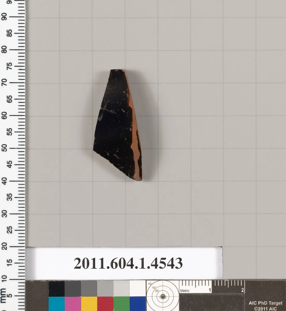 Terracotta fragment of a kylix (drinking cup) — Unknown