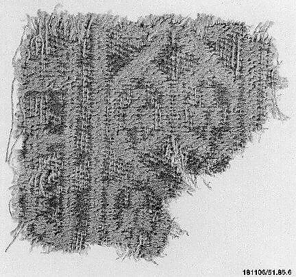 Carpet Fragment