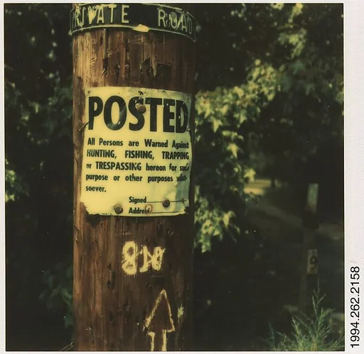 [Signs on Telephone Pole]