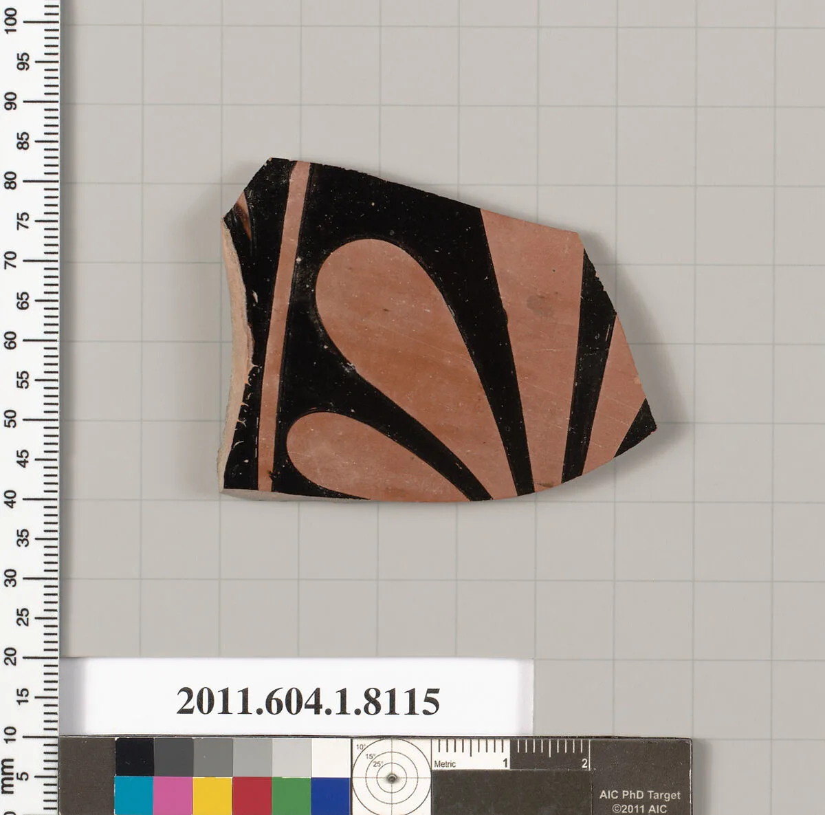 Terracotta fragment of a kylix (drinking cup) — Unknown