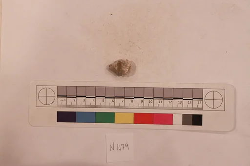 Stucco Fragment
