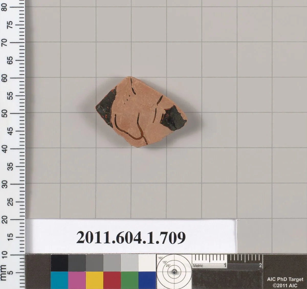 Terracotta fragment of a kylix (drinking cup) — Unknown