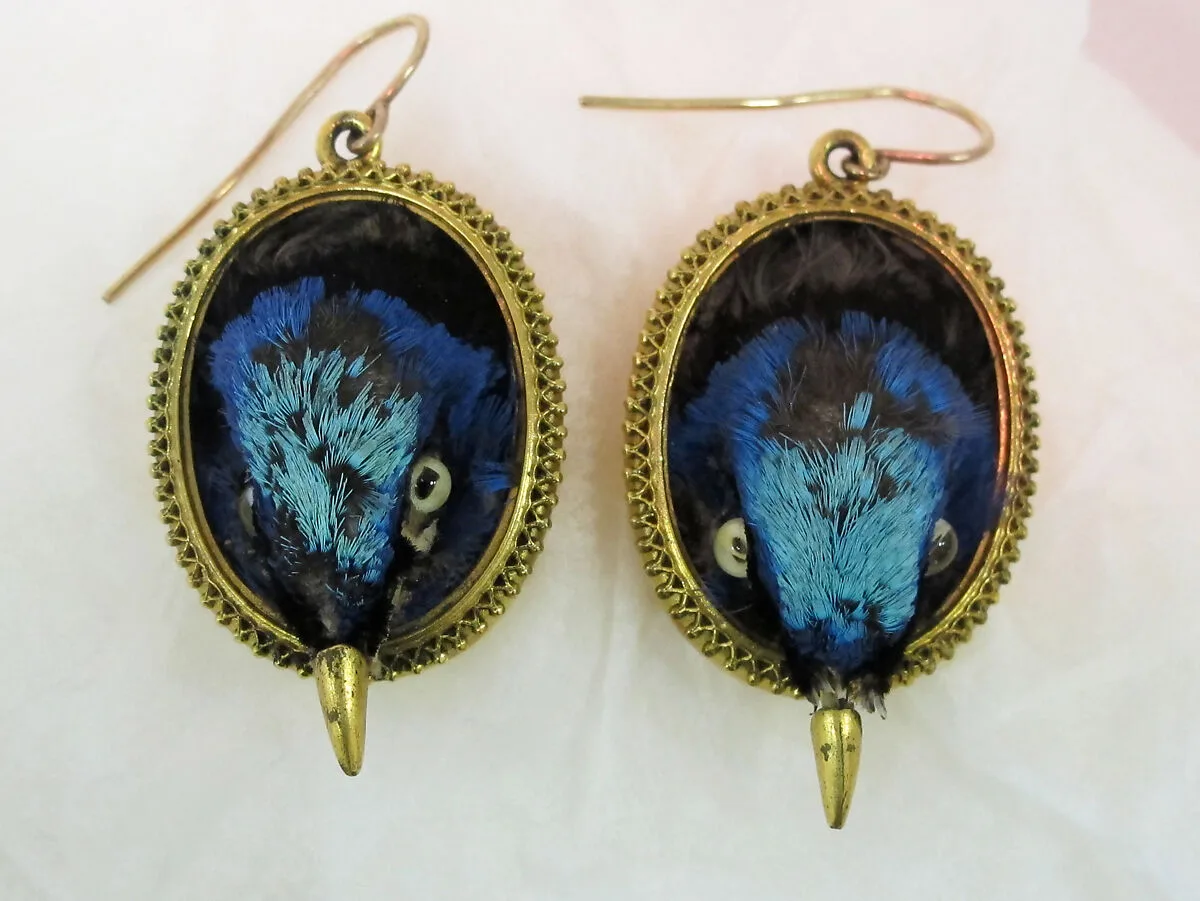 Earrings — Unknown