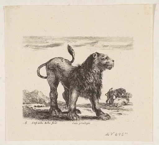 Plate 6: Lion, from "Various animals" (Diversi animali)